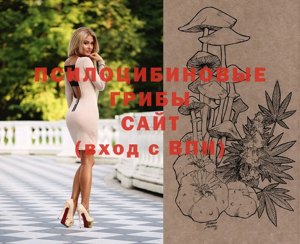 метамфетамин Алексеевка