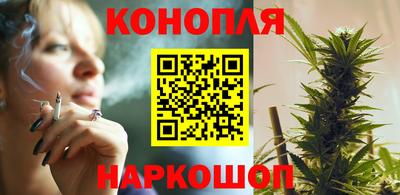 гидра Краснознаменск