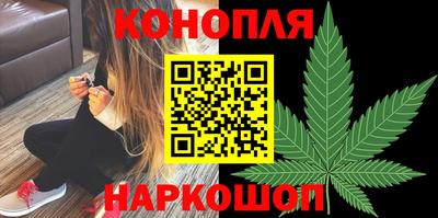 гидра Краснознаменск