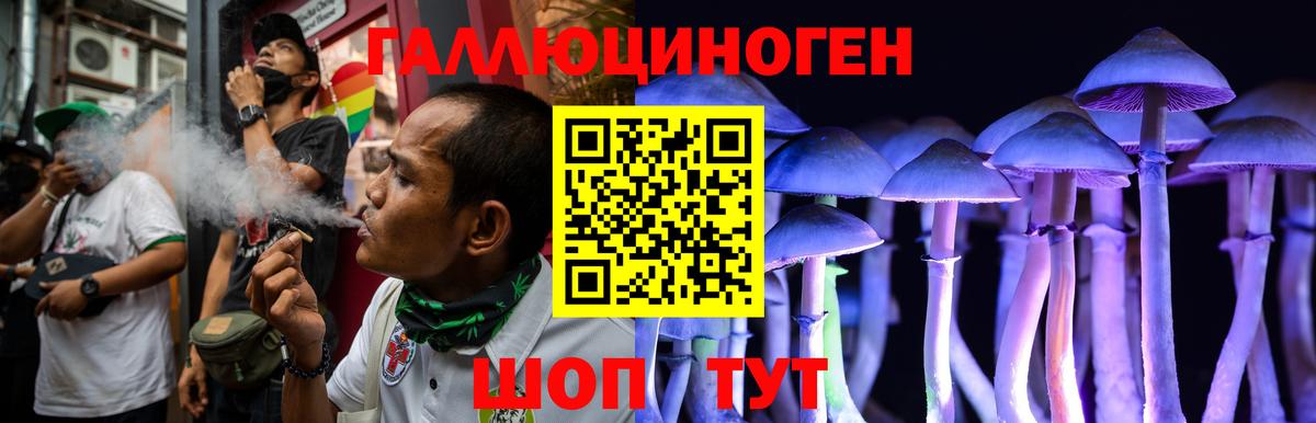 Псилоцибиновые грибы мухоморы  Галлюциногенные грибы MAGIC MUSHROOMS  Кулебаки  Вход с VPN 